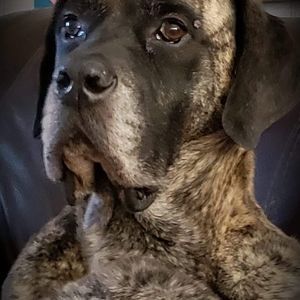 Meet your Posher, Tim